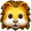 🦁 Singa Facebook