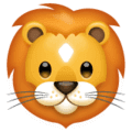🦁 Singa WhatsApp