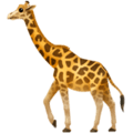 🦒 Jerapah Apple