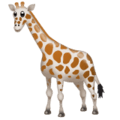 🦒 Jerapah WhatsApp