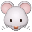 🐭 Wajah Tikus Samsung