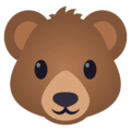🐻 Beruang