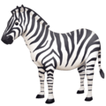 🦓 Zebra Facebook