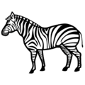 🦓 Zebra