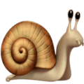 🐌 Siput Apple
