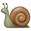 🐌 Siput WhatsApp