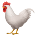 🐓 Ayam Jantan Apple