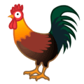 🐓 Ayam Jantan Google