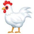 🐓 Ayam Jantan WhatsApp