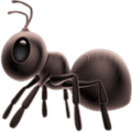🐜 Semut Apple