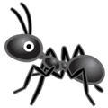 🐜 Semut Google
