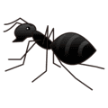 🐜 Semut