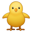 🐥 Anak Ayam Menghadap ke Depan Samsung