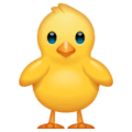 🐥 Anak Ayam Menghadap ke Depan WhatsApp