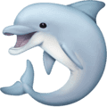 🐬 Lumba Lumba Facebook