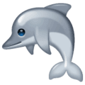 🐬 Lumba Lumba WhatsApp