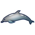 🐬 Lumba Lumba