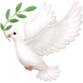 🕊️ Merpati Facebook