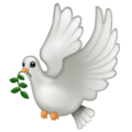 🕊️ Merpati WhatsApp