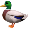 🦆 Bebek Apple