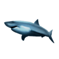🦈 Hiu Emojipedia