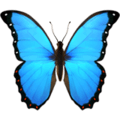 🦋 Kupu Kupu Apple