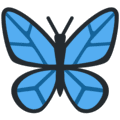 🦋 Kupu Kupu Twitter