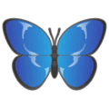 🦋 Kupu Kupu