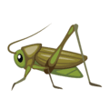 🦗 Jangkrik