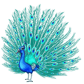🦚 Merak Emojipedia