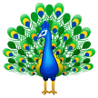 🦚 Merak Samsung