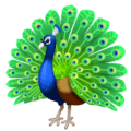 🦚 Merak WhatsApp