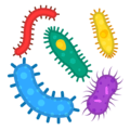 🦠 Mikroba Google