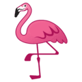 🦩 Flamingo Google