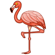🦩 Flamingo Samsung