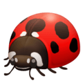 🐞 Kumbang Koksi Facebook