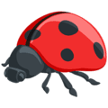 🐞 Kumbang Koksi Messenger
