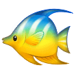🐠 Ikan Tropis Samsung