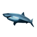 🦈 Hiu Emojipedia