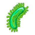 🦠 Mikroba Emojipedia