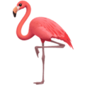 🦩 Flamingo Apple