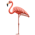 🦩 Flamingo Emojipedia