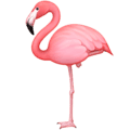 🦩 Flamingo Facebook