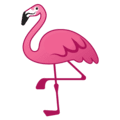 🦩 Flamingo Google