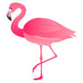 🦩 Flamingo