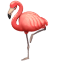 🦩 Flamingo WhatsApp