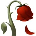 🥀 Bunga Layu Apple