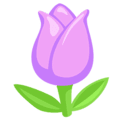 🌷 Tulip Messenger