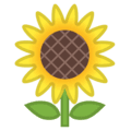 🌻 Bunga Matahari Google