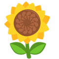 🌻 Bunga Matahari Messenger